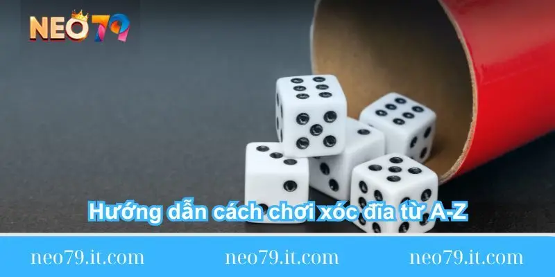 huong-dan-cach-choi-xoc-dia-tu-a-z